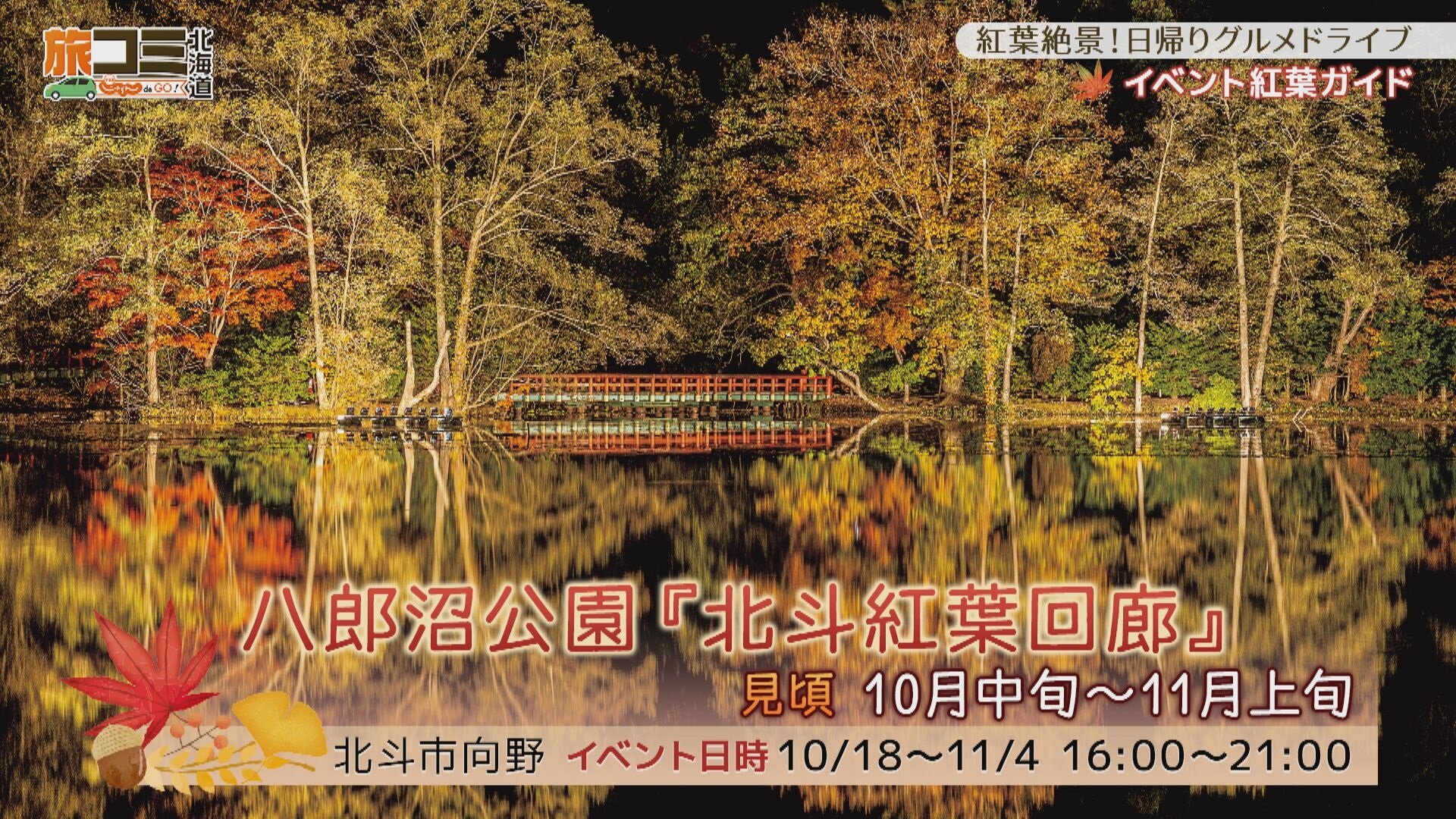 10月12日【紅葉絶景！日帰りグルメドライブ】