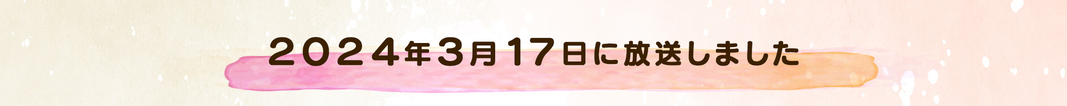 {3月17日(日)午前11時30分放送