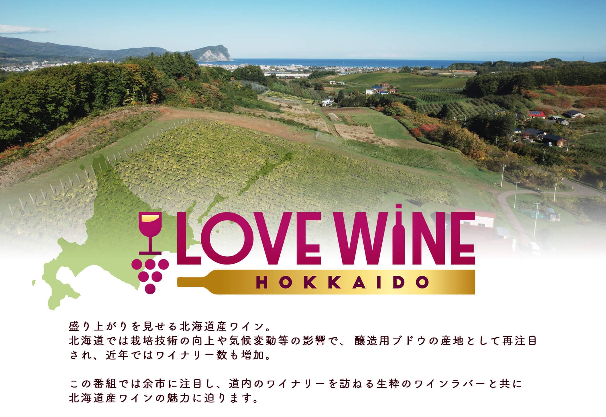 盛り上がりを見せる北海道産ワイン。北海道では栽培技術の向上や気候変動等の影響で、醸造用ブドウの産地として再注目され、近年ではワイナリー数も増加。この番組では余市に注目し、道内のワイナリーを訪ねる生粋のワインラバーと共に北海道産ワインの魅力に迫ります。
